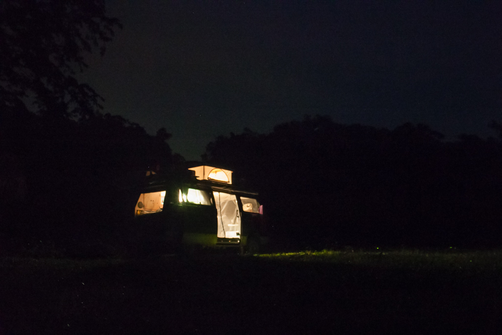 Nighttime in the jungle, all of the little specks are fireflies.